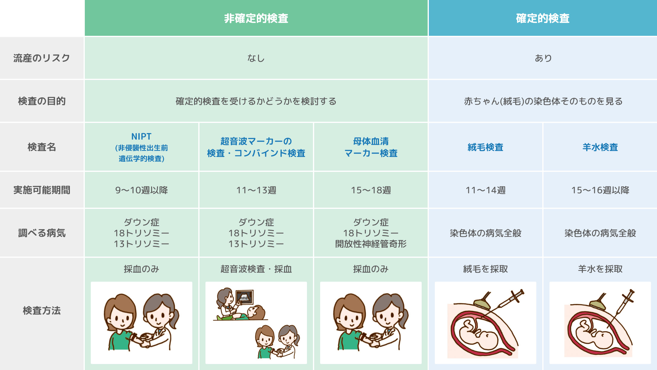 染色体を調べる遺伝学的検査